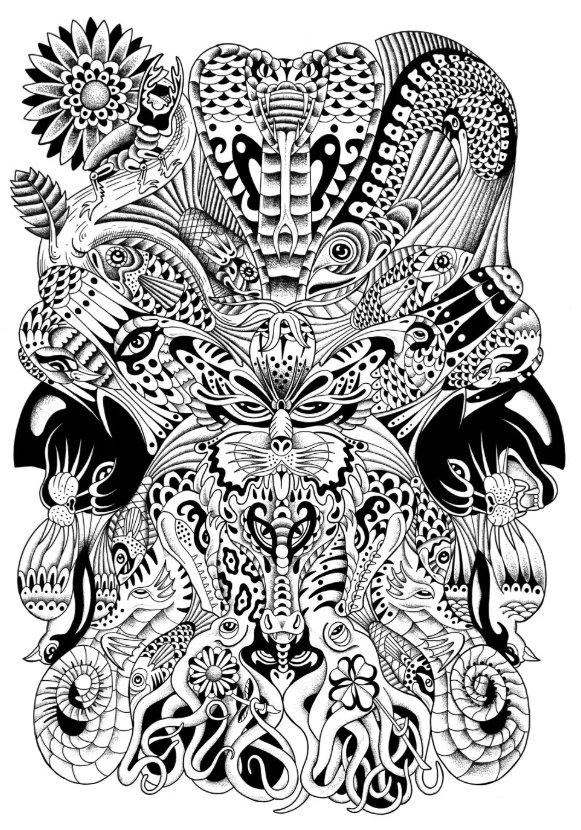 Tekening van Highland (Nathan Menten)